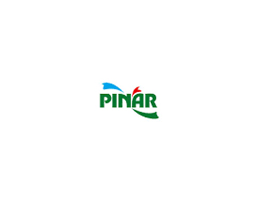 pınar